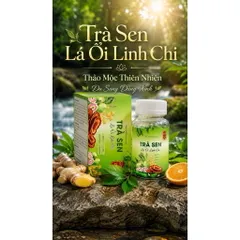 Trà Sen Lá Ổi Linh Chi Hỗ Trợ Giảm Cân
