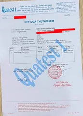 Linh Chi Hàn Quốc Hỗ Trợ Giảm Cân