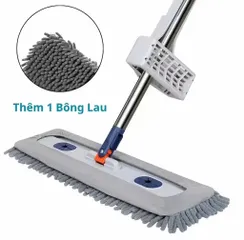 CÂY LAU NHÀ SAN HÔ