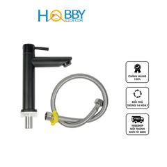 Vòi Nước Chậu Lavabo Inox 304 Cao Cấp - Thiết Kế Hiện Đại Đen - Bảo Hành 12 Tháng, Phù Hợp Nhiều Phong Cách Nội Thất
