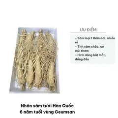 Nhân Sâm Tươi Hàn Quốc 6 Năm Tuổi Geumsan - Sâm Tốt Cho Sức Khỏe, Củ Đẹp, Chất Lượng Cao, Hỗ Trợ Giảm Căng Thẳng, Tăng Cường Đề Kháng