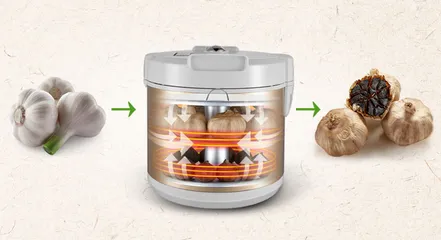 Máy làm tỏi đen Sunca FS-G100 - Thiết kế hiện đại, dễ sử dụng, tiết kiệm điện, cho tỏi đen chất lượng cao tại nhà.