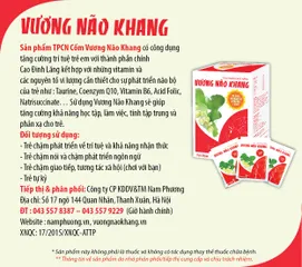 Viên Uống Hỗ Trợ Bổ Não Vương Não Khang - Tăng Cường Trí Não & Khả Năng Học Tập Cho Trẻ Với Thành Phần Thiên Nhiên Quý