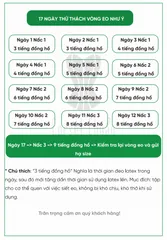 Đai Nịt Bụng Latex Định Hình Eo Dạng Lưới - Hỗ Trợ Siết Eo Gợi Cảm, Thoáng Khí, Thời Trang Phụ Nữ
