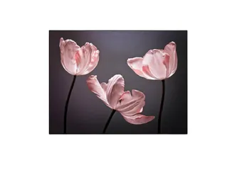 Tranh Canvas Hoa Tulip Tối Giản - Trang Trí Phòng Khách Sang Trọng, Thiết Kế Độc Đáo Cho Không Gian Sống Tươi Mới