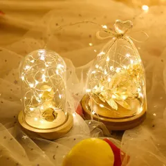 Combo 5 Dây Đèn Trang Trí Nhấp Nháy Đom Đóm Nhiều Màu - Dây Đèn Sáng Tạo Trang Trí Phòng Tiệc, Cây Cảnh, 3m