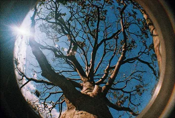Máy ảnh film 35mm Lomography Lomo Fisheye - Nhiếp ảnh độc đáo với góc nhìn rộng, lưu giữ khoảnh khắc ấn tượng