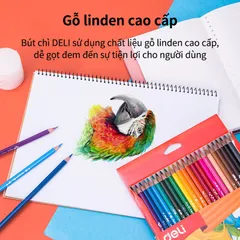 Bút Chì Màu Học Sinh 3 Cạnh Deli - 12/18/24/36 Màu Sắc Tươi Sáng, Dễ Cầm Nắm, Hỗ Trợ Sáng Tạo Cho Trẻ Em