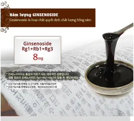 Cao Hồng Sâm Lên Men Cô Đặc Daedong Hàn Quốc - Hỗ Trợ Tiêu Hóa, Bồi Bổ Sức Khỏe, Dùng Cho Mọi Lứa Tuổi - 100g x 3 Lọ