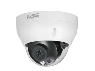 Camera IP Dome Hồng Ngoại 4MP Dahua DS2431RDIP-S2 - Chống Nước, Chống Va Đập, Tầm Quan Sát 30m, Cảm Biến CMOS 1.3inch