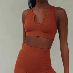 Bộ quần áo tập gym yoga Amin AM037 cho nữ - Quần lửng, áo bra mút ngực, nhiều màu sắc, chất liệu Spandex thoáng mát, thời trang thể thao nữ