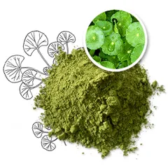 Bột Rau Má Nguyên Chất Goce 72g - Hỗ Trợ Thanh Nhiệt, Giải Độc Cơ Thể Từ Thiên Nhiên, Dinh Dưỡng Tốt Cho Sức Khỏe