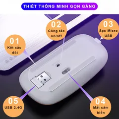 Chuột Không Dây Bluetooth Sạc Pin Sidotech M2S - Chuột Giảm Ồn, Kết Nối USB và Bluetooth, Độ Nhạy 1600 DPI, LED RGB 16 Màu