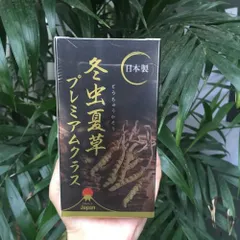 Đông trùng hạ thảo Ably Touchukasou Cordyceps 240 viên - Tăng cường sức đề kháng và hệ miễn dịch, sản phẩm nội địa Nhật Bản chất lượng cao