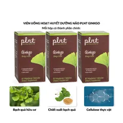 Viên Uống Hoạt Huyết Dưỡng Não PLNT Ginkgo - Tăng Cường Tuần Hoàn Máu, Cải Thiện Trí Nhớ và Tập Trung, 60 Viên