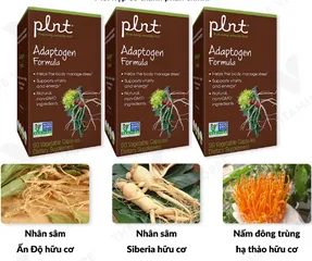 Viên uống nhân sâm hữu cơ PLNT Adaptogen Formula - Hỗ trợ tăng cường sinh lực, bồi bổ sức khỏe, 90 viên tự nhiên