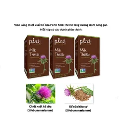 Viên uống PLNT Milk Thistle - Tăng cường chức năng gan, chống oxy hóa, giải độc gan, hỗ trợ sức khỏe gan hữu hiệu