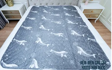 Chăn Đệm Điện Hasto Hàn Quốc - Siêu Ấm, 135cm x 180cm, Bảng Điều Khiển Thông Minh, Chất Liệu Cao Cấp, Bảo Vệ An Toàn Cho Sức Khỏe