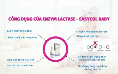 Enzym Lactase Easycol Baby 15ml - Hỗ Trợ Cải Thiện Tiêu Hóa Cho Trẻ Sơ Sinh & Trẻ Nhỏ, Giúp Hấp Thụ Đường Lactose Tốt Hơn