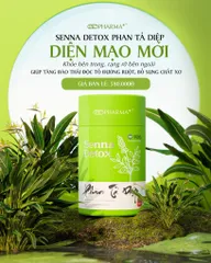 Phan Tả Diệp Senna Detox PK Pharma - Hỗ Trợ Tiêu Hóa, Nhuận Tràng, Thải Độc, Vị Cơm Nếp Ngon, Hộp 30 Gói