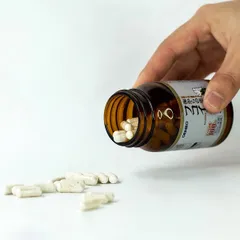 Tảo Fucoidan Orihiro Nhật Bản 90 Viên - Hỗ Trợ Tăng Cường Sức Khỏe, Đề Kháng, Chống Oxy Hóa, Cải Thiện Tiêu Hóa
