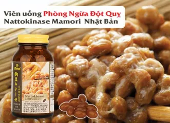 Viên Nattokinase 2400FU Mamori Nhật Bản - Hỗ Trợ Tim Mạch, Cải Thiện Lưu Thông Máu, 60 Viên Dễ Uống, Lành Tính, Không Biến Đổi Gen