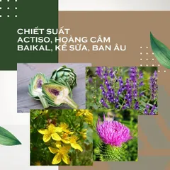 Viên Uống Hỗ Trợ Tăng Cường Chức Năng Gan Synchrovitals IV - Bổ Gan Từ Thiên Nhiên, Giải Độc, Hỗ Trợ Sức Khỏe Gan, 60 Viên