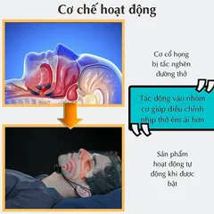 Máy Hỗ Trợ Giảm Ngủ Ngáy & Điều Hòa Nhịp Thở CTFAST - Giấc Ngủ Ngon Lành, Thiết Kế Gọn Nhẹ, Công Nghệ Cấp Khí Tiên Tiến
