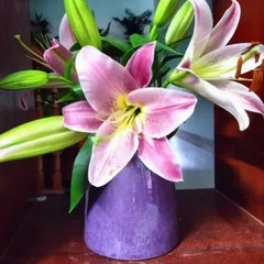 Bình hoa gốm Bát Tràng dáng chuông họa tiết trơn - Trang trí nhà cửa, cây cảnh nhỏ xinh, nhiều màu sắc, tinh tế