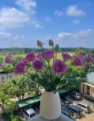 Lọ Hoa Mini Bình Sứ Bát Tràng Dáng Chuông - Trang Trí Nhà Cửa Sang Trọng, Hiện Đại, Cắm Hoa Khô/Tươi