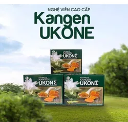 Viên uống tinh chất nghệ Kangen Ukon Nhật Bản - Hỗ trợ tiêu hóa và làm đẹp da, hộp 100 viên bổ sung dinh dưỡng tự nhiên chất lượng cao
