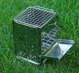 Bếp Nướng Ngoài Trời Gấp Gọn CLS Bằng Thép Không Gỉ Có Túi Đựng - Đồ Dùng Cắm Trại Đa Năng Cho Chuyến Dã Ngoại Hoàn Hảo