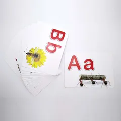 Bộ Thẻ Flashcard Dạy Bé Bảng Chữ Cái Tiếng Anh - 27 Thẻ Học Thông Minh Với Hình Ảnh Sống Động, Phương Pháp Glenn Doman