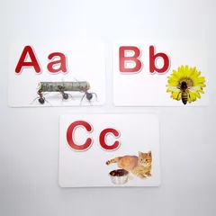 Bộ Thẻ Flashcard Dạy Bé Bảng Chữ Cái Tiếng Anh - 27 Thẻ Học Thông Minh Với Hình Ảnh Sống Động, Phương Pháp Glenn Doman