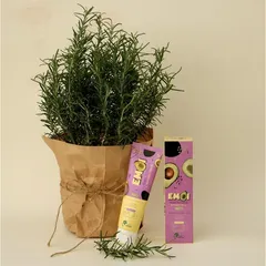 Kem đánh răng Emoi Herbal Toothpaste 100g - Dầu hạt bơ & Tinh dầu tự nhiên, Hỗ trợ làm sạch răng & Thơm miệng tự nhiên