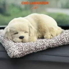 Gấu Bông Than Hoạt Tính Khử Mùi - Trang Trí Nội Thất Xe Ô Tô, Lọc Không Khí, Dễ Thương, Bảo Vệ Sức Khỏe Gia Đình