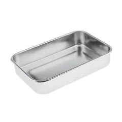 Hộp Đựng Dụng Cụ Y Tế Inox Có Nắp Đậy - Kích Thước 24cm x 16cm x 5cm, Bền Đẹp, Tiện Lợi Cho Spa, Nha Khoa, Thẩm Mỹ Viện
