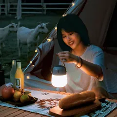 Đèn Cắm Trại Đuổi Muỗi Nextool Baymini NE20193 - Đèn LED Đa Năng, 4 Chế Độ Ánh Sáng, Thích Hợp Ngoài Trời và Trong Nhà