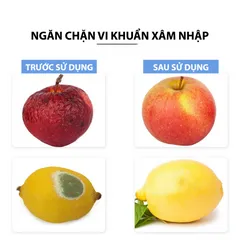 Hộp Gel Khử Mùi Tủ Lạnh Mifan Renewll Hương Chanh 150g - Hút Ẩm, Kháng Khuẩn, Bảo Quản Thực Phẩm Tươi Sáng, Ngăn Ngừa Mùi Khó Chịu