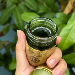 Dầu Cù Là Rồng Đen Shen Long Balm Thái Lan - Hỗ Trợ Giảm Đau, Say Tàu Xe, Ngứa Côn Trùng - Hương Thơm Dịu Dễ Chịu 50g