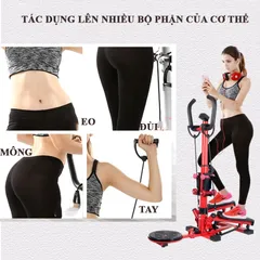 Máy Chạy Bộ Tại Chỗ Đại Nam Sport - Tích Hợp Đĩa Xoay Eo và Tạ Tay, Khung Thép Chịu Lực 120kg, Thiết Kế Gọn Nhẹ, Phù Hợp Tập Tại Nhà