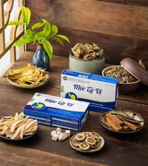 Viên Uống Hỗ Trợ Bảo Vệ Dạ Dày Mộc Tỳ Vị - Chiết Xuất Thiên Nhiên Giúp Tiêu Hóa Khỏe Mạnh, Giảm Đầy Hơi, Ợ Chua