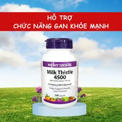 Viên Uống Bổ Gan Webber Naturals Milk Thistle 4500 150mg - Hỗ Trợ Giải Độc Và Tăng Cường Chức Năng Gan, Sản Phẩm Từ Canada