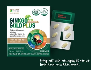 Viên Uống Hỗ Trợ Não Bộ Ginkgo Gold Plus - Chiết Xuất Bạch Quả Hàn Quốc, Tăng Cường Trí Nhớ và Tuần Hoàn Máu, Hộp 120 Viên