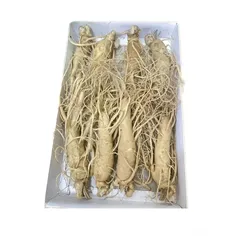 Nhân Sâm Tươi Hàn Quốc 6 Năm Tuổi Geumsan - Sâm Tốt Cho Sức Khỏe, Củ Đẹp, Chất Lượng Cao, Hỗ Trợ Giảm Căng Thẳng, Tăng Cường Đề Kháng
