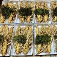 Nhân Sâm Tươi Hàn Quốc 6 Năm Tuổi Geumsan - Sâm Tốt Cho Sức Khỏe, Củ Đẹp, Chất Lượng Cao, Hỗ Trợ Giảm Căng Thẳng, Tăng Cường Đề Kháng