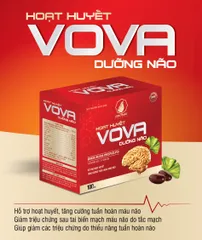 Viên uống hoạt huyết dưỡng não Vova Gia Phát - Hỗ trợ cải thiện trí nhớ, tăng cường tuần hoàn máu - Hộp 100 viên thiên nhiên
