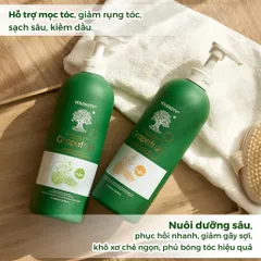 Bộ Gội Xả Bưởi Voudioty Grapefruit 500ml - Hỗ Trợ Kích Thích Mọc Tóc, Nuôi Dưỡng Tóc Khỏe Mạnh Từ Thiên Nhiên