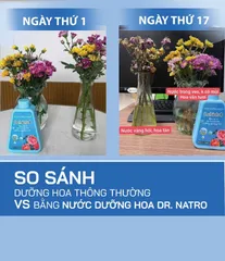 Combo 10 Chai Nước Dưỡng Hoa Dr.Natro Cao Cấp Công Nghệ Nhật Bản