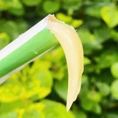 Thạch men tiêu hóa Dr.Bio Jelly Nhật Bản - Hỗ trợ tiêu hóa cho trẻ em và người lớn, cải thiện sức khỏe đường ruột, 30 gói x 15g